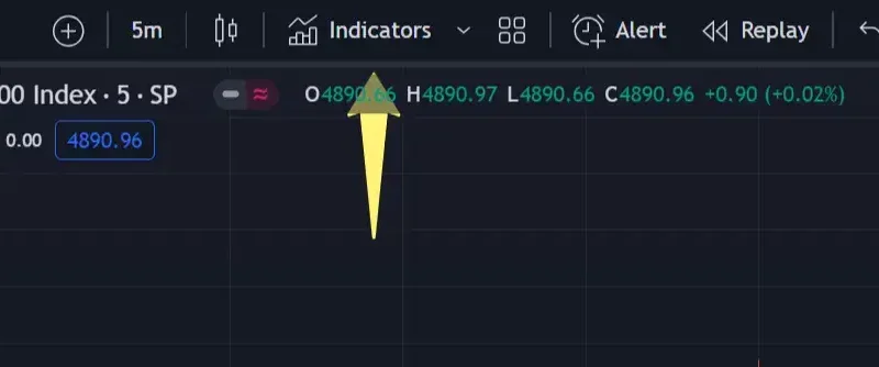 Indicator section