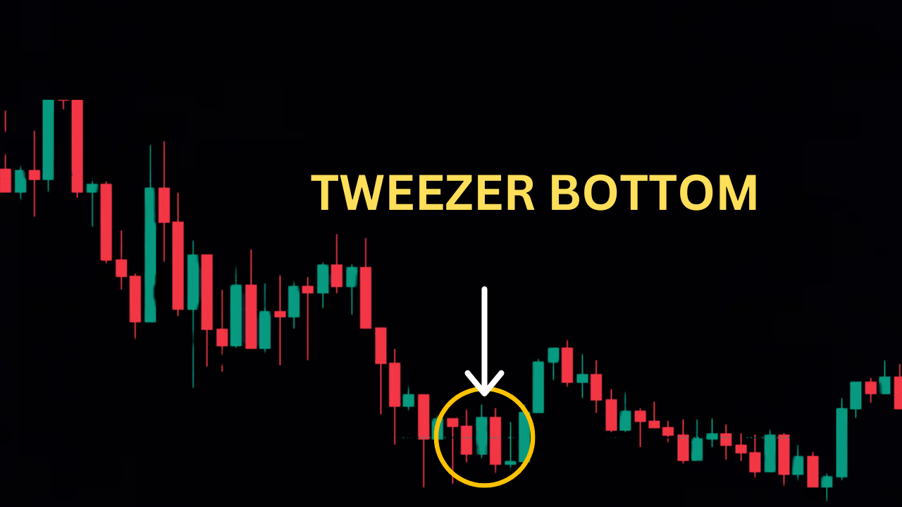 tweezer bottom